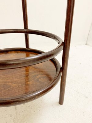 Mid-Century Bentwood Planter, Austria, 1930s-FGA-1096416