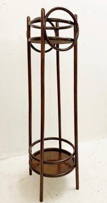 Mid-Century Bentwood Planter, Austria, 1930s-FGA-1096416