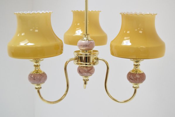 Mid-Century Chandelier, 1960s-TZ-1216225