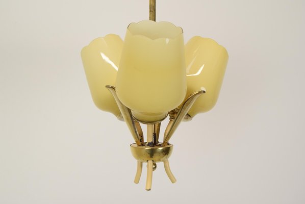 Mid-Century Czechoslovakia Chandelier, 1960s-TZ-1252038