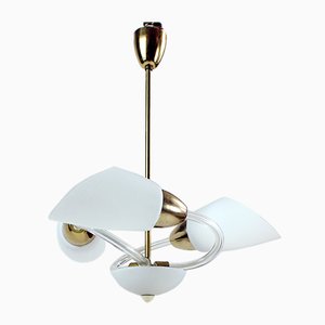 Mid-Century Czechoslovakian White Glass and Brass Ceiling Lamp, 1960s-UL-734117