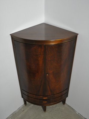 Mid-Century Danish Corner Cupboard in Mahogany, 1950s-HPQ-1178353