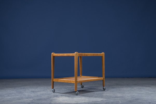 Mid-Century Danish Teak Serving Trolley, 1960s-ZZH-978735