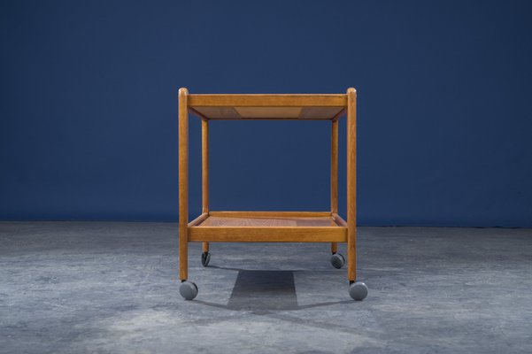 Mid-Century Danish Teak Serving Trolley, 1960s-ZZH-978735