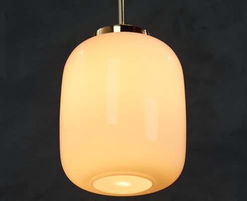 Mid-Century Danish White Glass and Brass Pendant Lamp, 1960s-ZGQ-707169