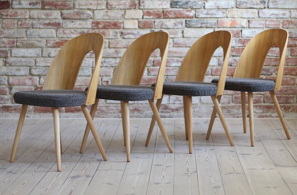 Mid-Century Dining Chairs by A. Suman, Set of 10-MJR-1332504