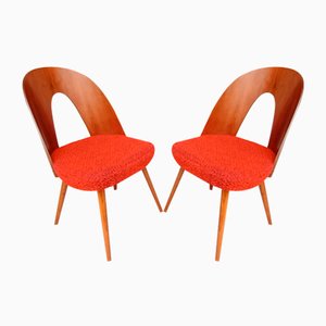 Mid-Century Dining Chairs by Antonin Suman, 1960s, Set of 2-VIC-1794589