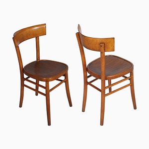 Mid-Century Dining Chairs from ISA Bergamo, 1950s, Set of 6-NJV-889098