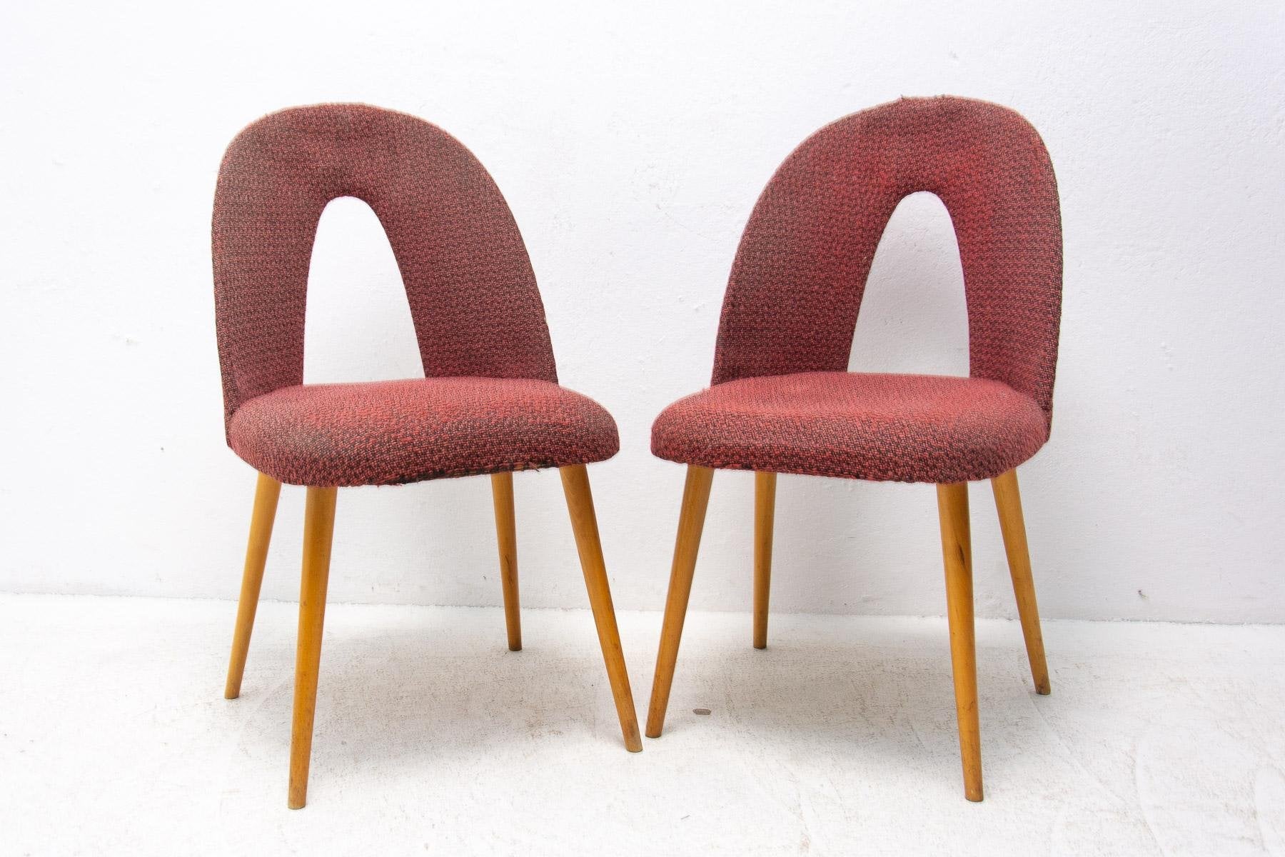 Mid-Century Dinning Chairs by Antonín Šuman for Tatra Nábytok, Set of 2