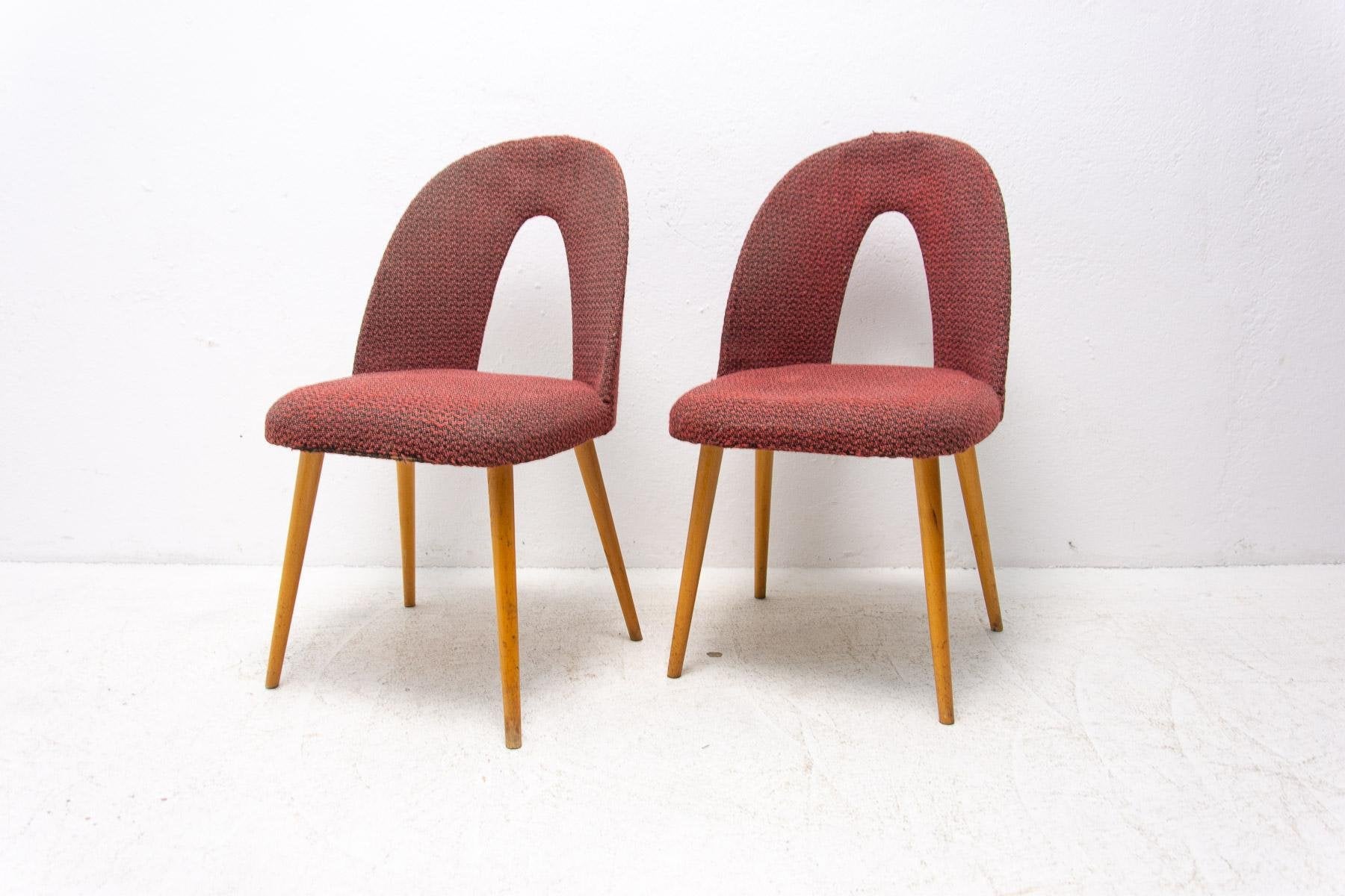 Mid-Century Dinning Chairs by Antonín Šuman for Tatra Nábytok, Set of 2