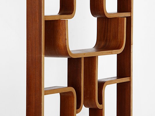 Mid-Century Divider by Ludvik Volak from Drevopodnik Holesov, 1960s-TW-1410849