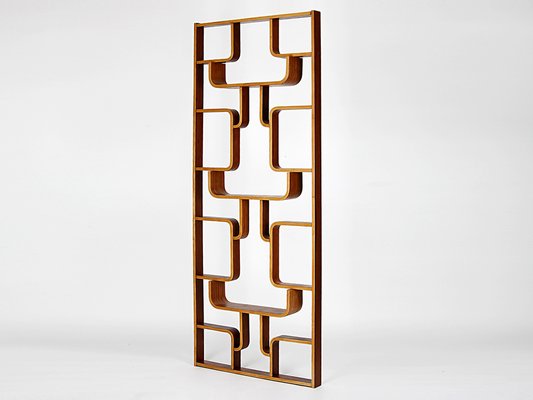 Mid-Century Divider by Ludvik Volak from Drevopodnik Holesov, 1960s-TW-1410849