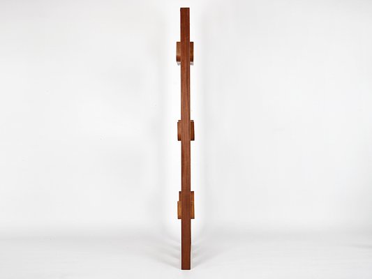 Mid-Century Divider by Ludvik Volak from Drevopodnik Holesov, 1960s-TW-1410849