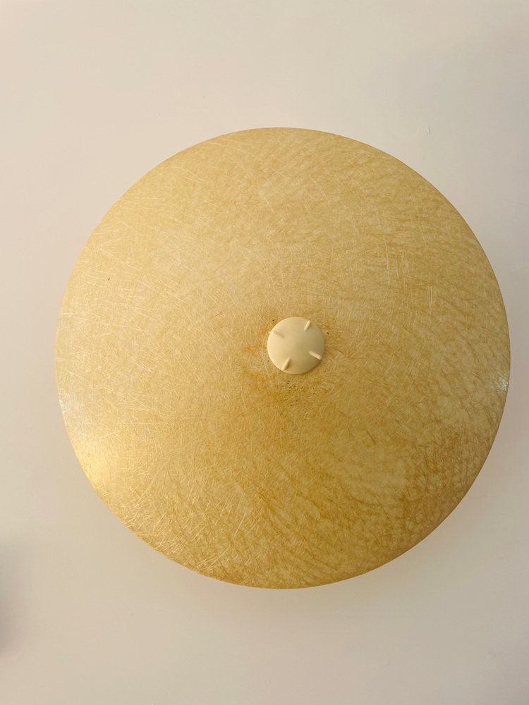 Mid-Century Dutch Fiberglass Wall Light by Louis Kalff for Philips, 1960s