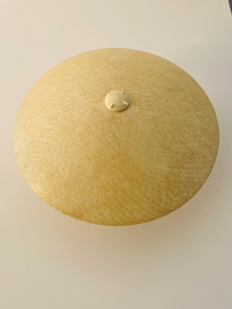 Mid-Century Dutch Fiberglass Wall Light by Louis Kalff for Philips, 1960s