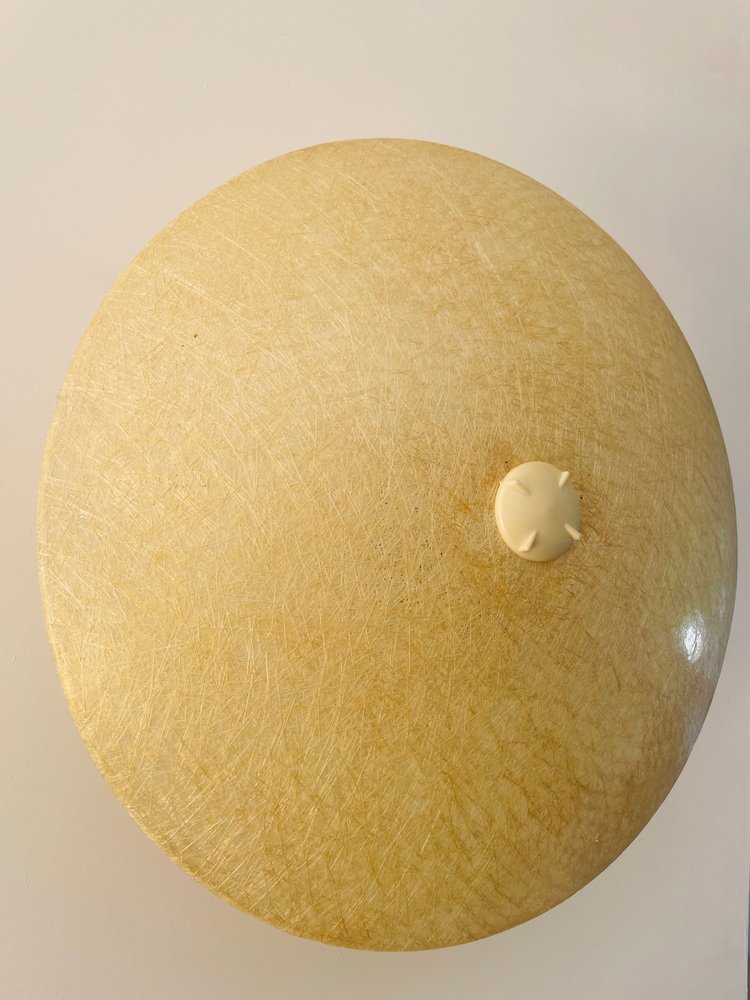 Mid-Century Dutch Fiberglass Wall Light by Louis Kalff for Philips, 1960s