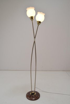 Mid-Century Floor Lamp by Kamenicky Senov, 1960s-TZ-924532