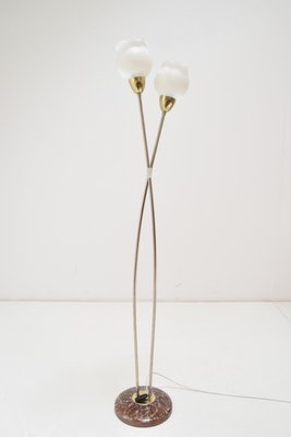 Mid-Century Floor Lamp by Kamenicky Senov, 1960s-TZ-924532