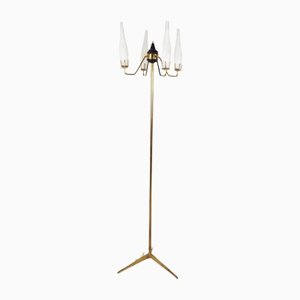 Mid-Century Floor Lamp by Stilux Milano, 1950s-IRH-1355509