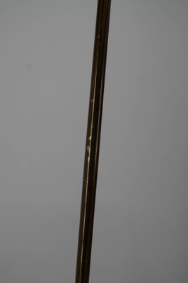 Mid-Century Floor Lamp from Drukov, 1960s-TZ-1139200