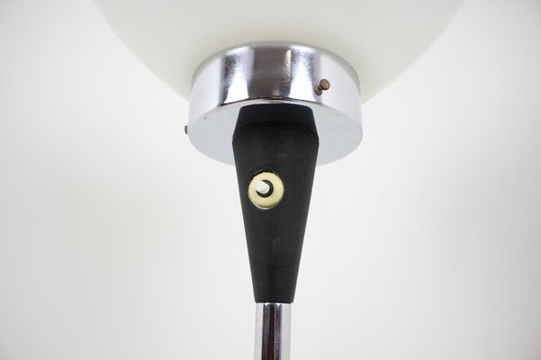 Mid-Century Floor Lamp from Lidokov, 1970s-TZ-1061155