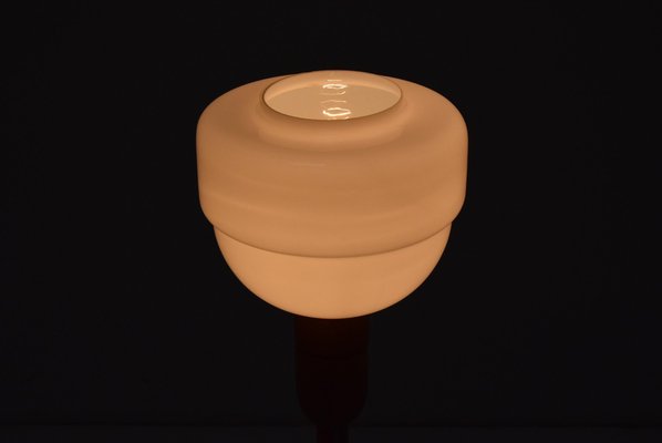 Mid-Century Floor Lamp from Uluv, 1950s-TZ-1153599