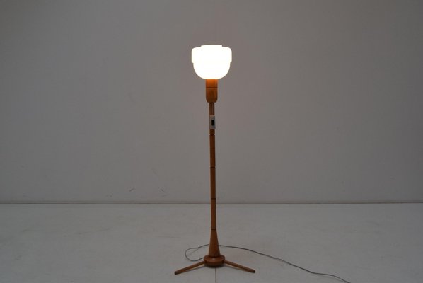 Mid-Century Floor Lamp from Uluv, 1950s-TZ-1153599