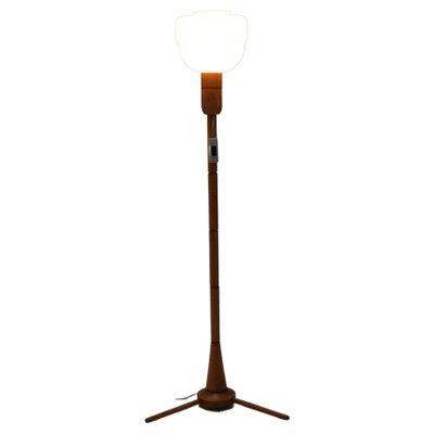 Mid-Century Floor Lamp from Uluv, 1950s-TZ-1153599