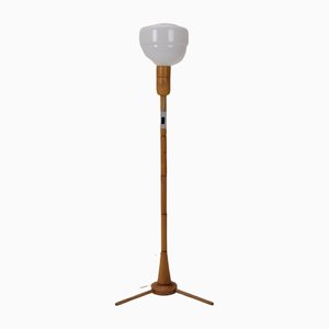 Mid-Century Floor Lamp from Uluv, 1950s-TZ-1153599