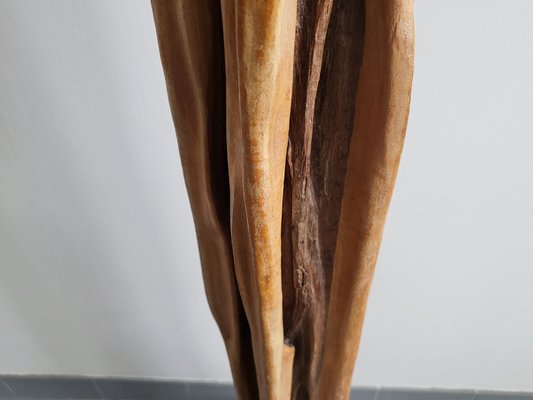 Mid-Century French Floor Lamp in Driftwood & Mahogany, 1950s-CGX-1718401