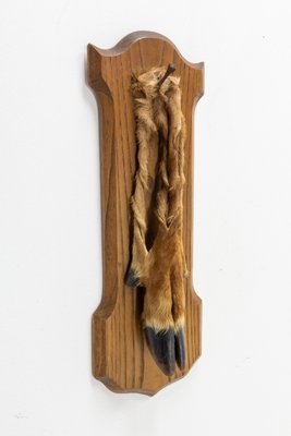 Mid-Century French Hunting Trophy Deer Foot in Oak, 1960-RIU-1299317