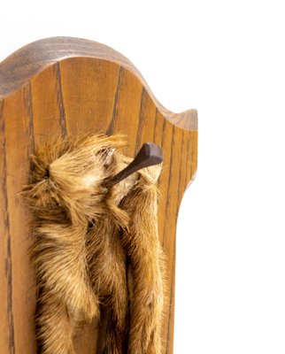 Mid-Century French Hunting Trophy Deer Foot in Oak, 1960-RIU-1299317