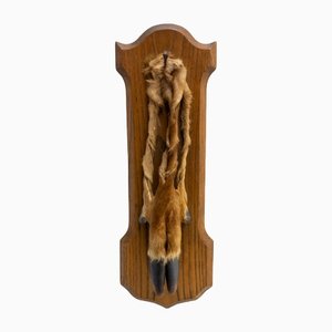 Mid-Century French Hunting Trophy Deer Foot in Oak, 1960-RIU-1299317