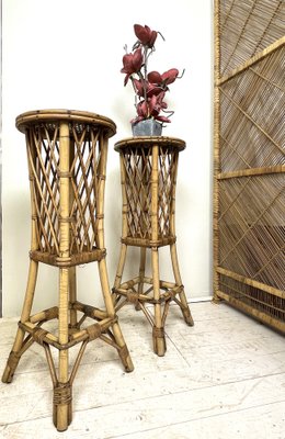 Mid-Century French Rattan and Bamboo Plant Stands, Set of 2-WZZ-1312043