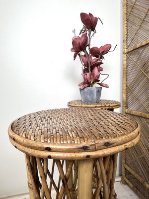 Mid-Century French Rattan and Bamboo Plant Stands, Set of 2-WZZ-1312043