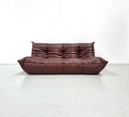 Mid-Century French Togo Sofa in Chestnut Brown Leather by Michel Ducaroy for Ligne Roset-XLZ-2025924