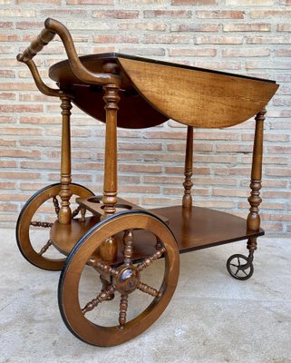 Mid-Century French Wooden Bar Cart Trolley, 1950s-NOU-1739762