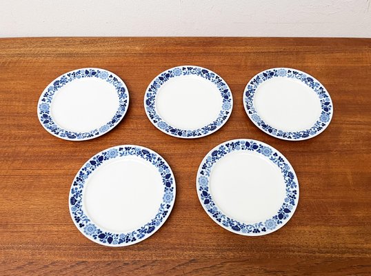 Mid-Century German Ceramic Plates Series Hamburg Form 20 Decor Blumenspiel by Lieselotte Kantner for Melitta, 1960s, Set of 5-UAH-1821772