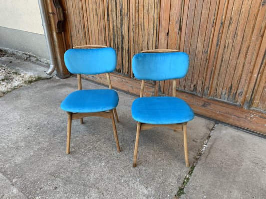 Mid-Century Hungarian Chairs, 1960s, Set of 2-OXJ-1187489