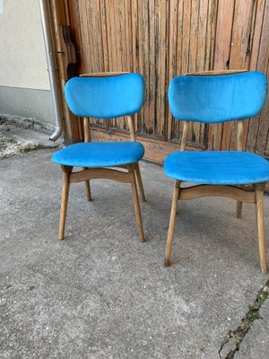 Mid-Century Hungarian Chairs, 1960s, Set of 2-OXJ-1187489