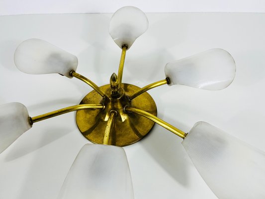 Mid-Century Italian Brass 5-Arm Sputnik Chandelier, 1950s-PUK-1317209