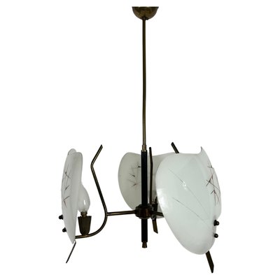 Mid-Century Italian Brass and Glass Sputnik Ceiling Lamp, 1950s-PUK-1364093