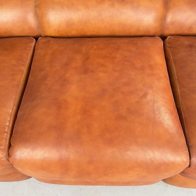 Mid-Century Italian Brown Leather Plastic Sofa Flou by Betti Habitat Ids, 1970s-GDD-1329847