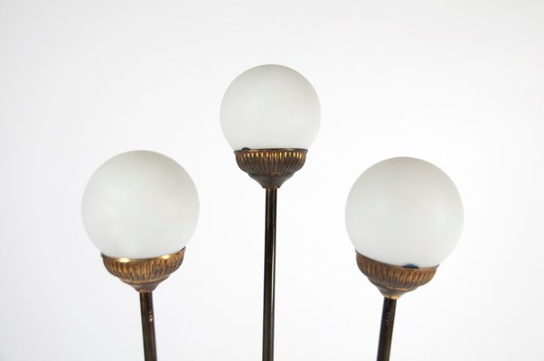 Mid-Century Italian Globe Floor Lamp from Stilnovo, 1950s-WUY-878856