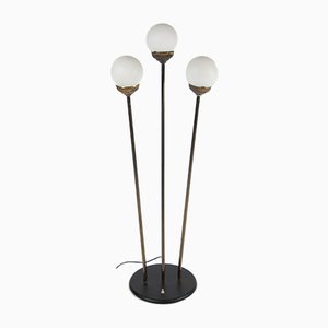 Mid-Century Italian Globe Floor Lamp from Stilnovo, 1950s-WUY-878856