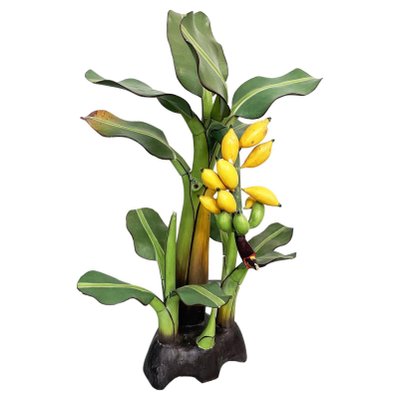 Mid-Century Italian Modern Wooden Sculpture of a Banana Plant, 1950s-GDD-1308846