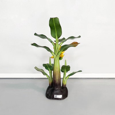 Mid-Century Italian Modern Wooden Sculpture of a Banana Plant, 1950s-GDD-1308846