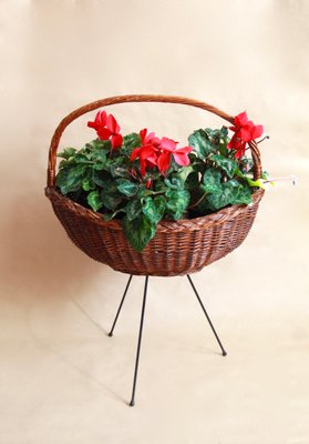 Mid-Century Italian Plant Stand, 1950s-HUY-564488