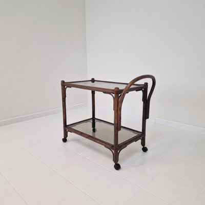 Mid-Century Italian Trolley in Bentwood and Smoked Glass, 1970s-RQL-2025999