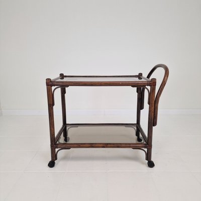 Mid-Century Italian Trolley in Bentwood and Smoked Glass, 1970s-RQL-2025999